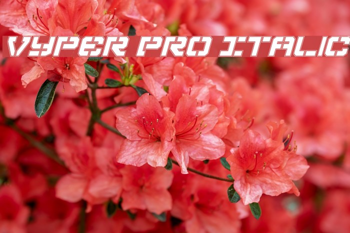 Vyper Pro Italic Font examples