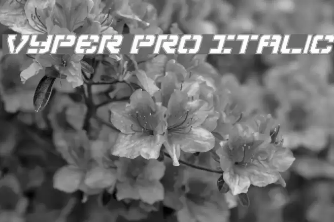 Vyper Pro Italic Schriftart examples