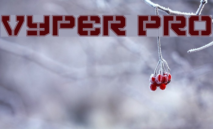 Vyper Pro Font examples
