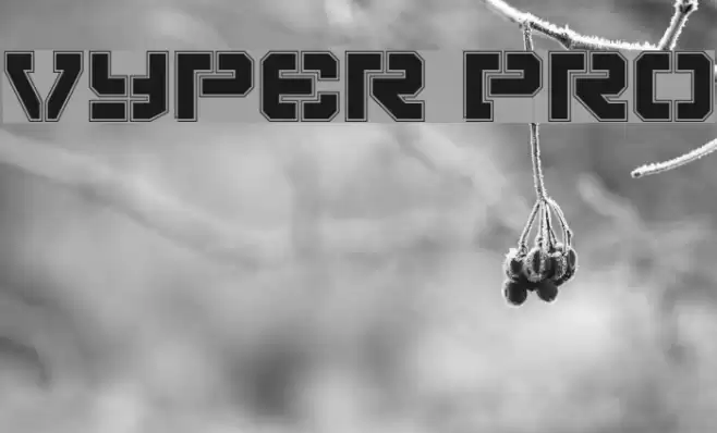 Vyper Pro Polices examples