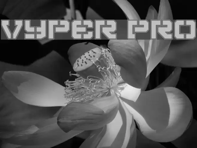 Vyper Pro Polices examples