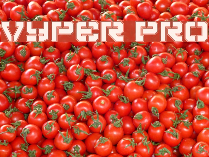 Vyper Pro Font examples