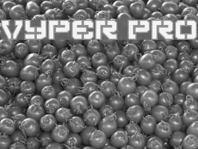 Vyper Pro Polices examples