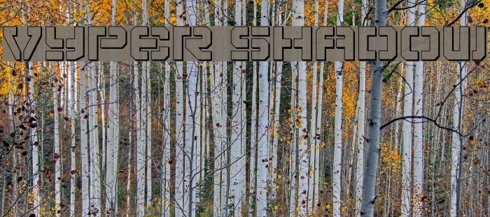 Vyper Shadow Font examples