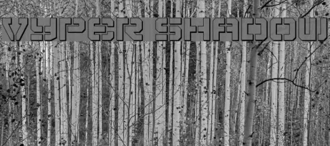 Vyper Shadow Шрифта examples