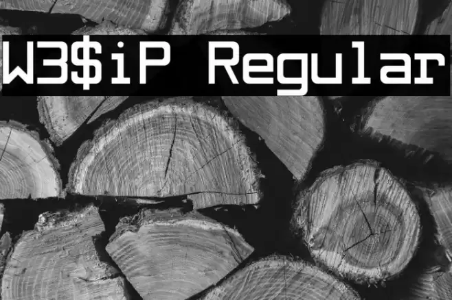 W3$iP Regular Font examples