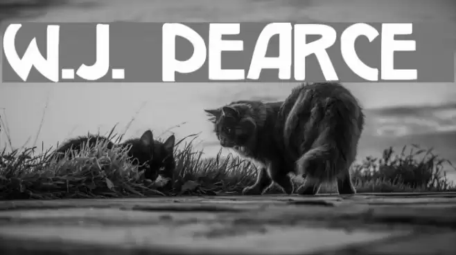 W.J. Pearce 213 Font examples