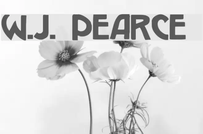 W.J. Pearce 213 Font examples
