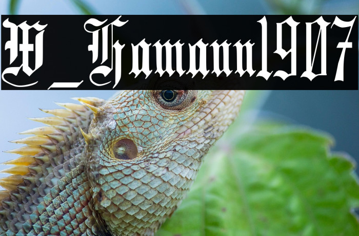 W_Hamann1907 Example 1