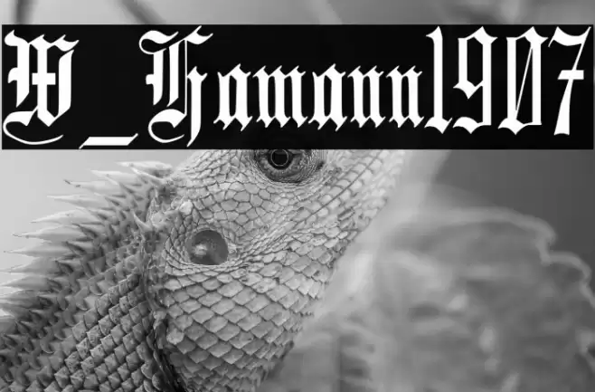 W_Hamann1907 خط examples