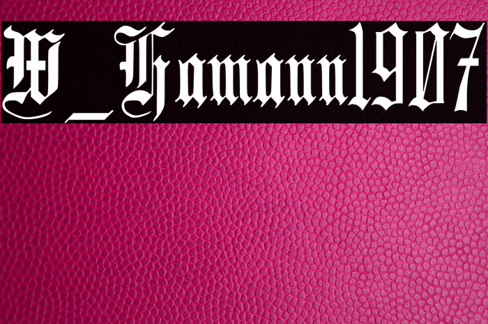 W_Hamann1907 Example 3