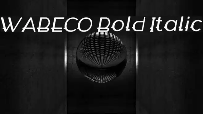 WABECO Bold Italic Font examples