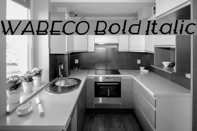 WABECO Bold Italic Font examples