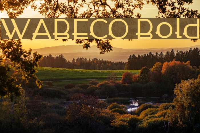 WABECO Bold Font examples
