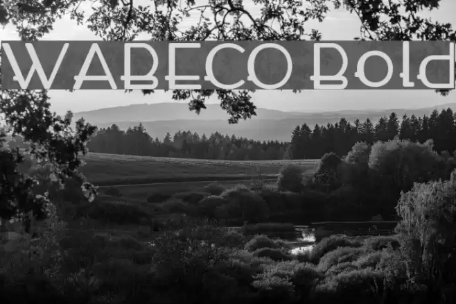 WABECO Bold Schriftart examples