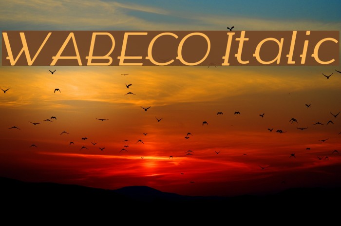WABECO Italic Font examples