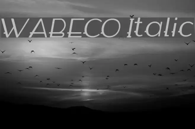 WABECO Italic Schriftart examples