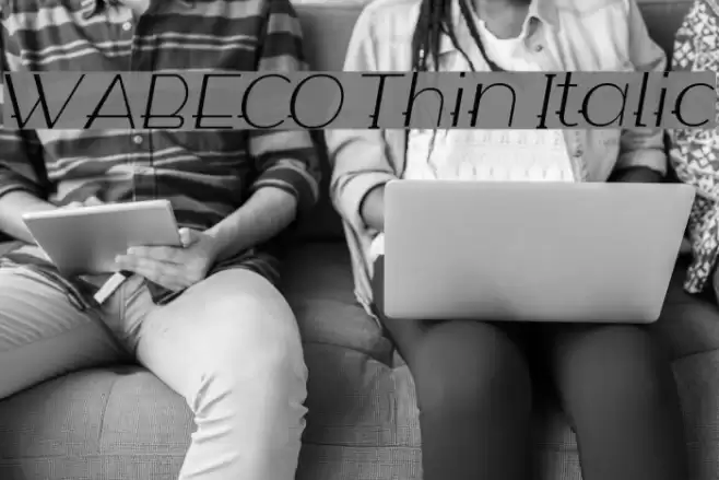 WABECO Thin Italic Font examples