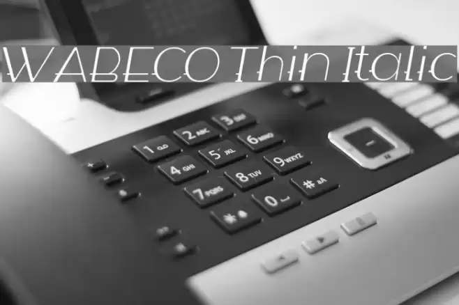WABECO Thin Italic Font examples
