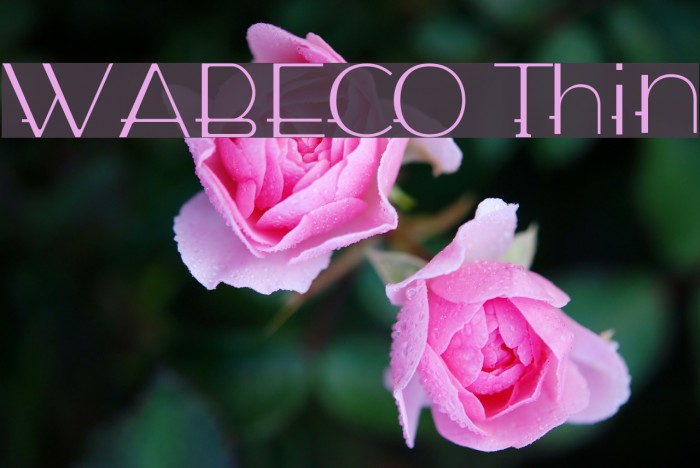 WABECO Thin फ़ॉन्ट examples