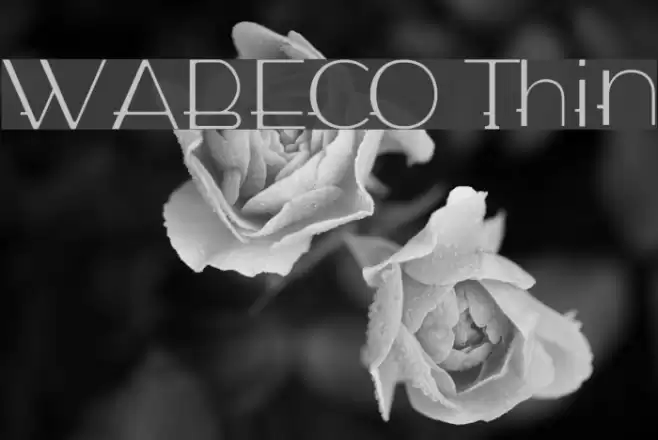 WABECO Thin Font examples