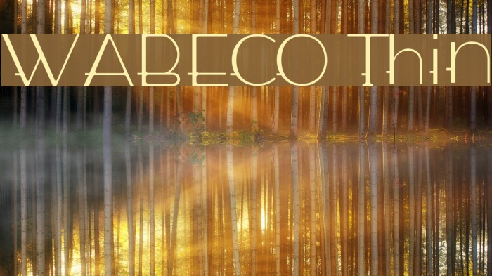 WABECO Thin फ़ॉन्ट examples