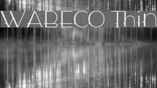 WABECO Thin Font examples