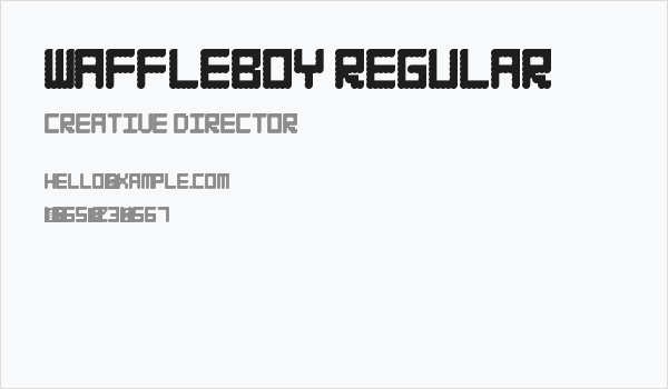 WAFFLEBOY Regular Business Card