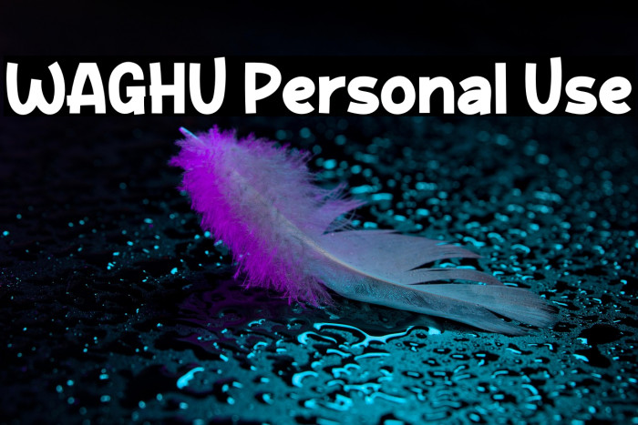 WAGHU Personal Use Example 1