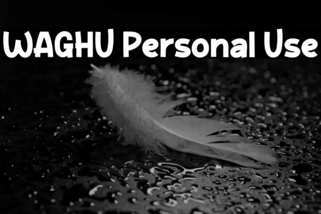 WAGHU Personal Use フォント examples
