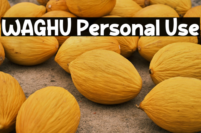 WAGHU Personal Use Example 2