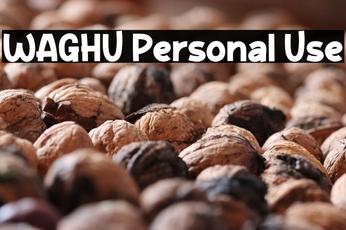 WAGHU Personal Use Example 3