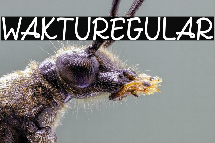 WAKTURegular Example 1