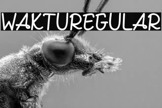 WAKTURegular Font examples