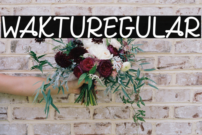 WAKTURegular Example 2