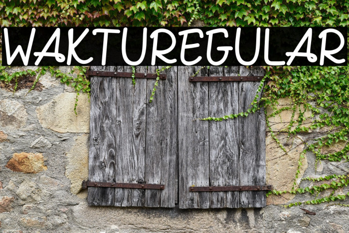 WAKTURegular Example 3