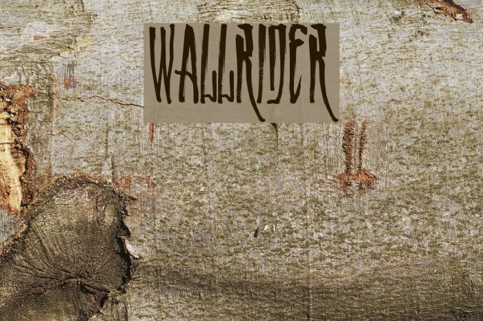 WALLRIDER Font examples