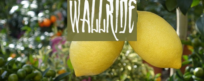 WALLRIDE Font examples