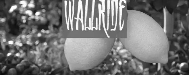 WALLRIDE Schriftart examples