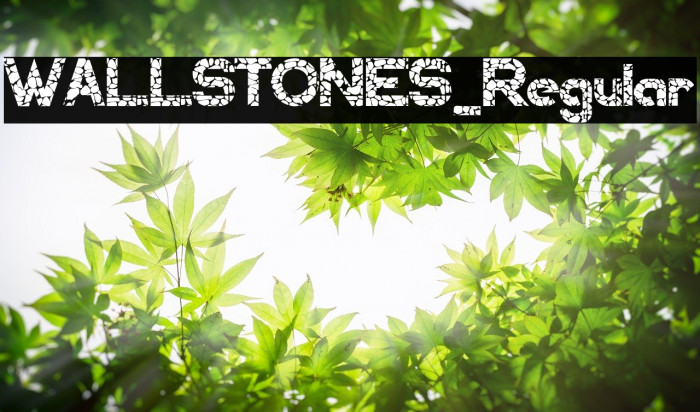 WALLSTONES-Regular Font examples