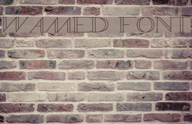 WAMED Example 3