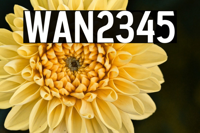 WAN 2345 Example 1