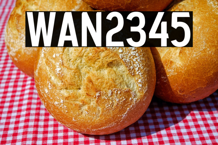 WAN 2345 Example 2