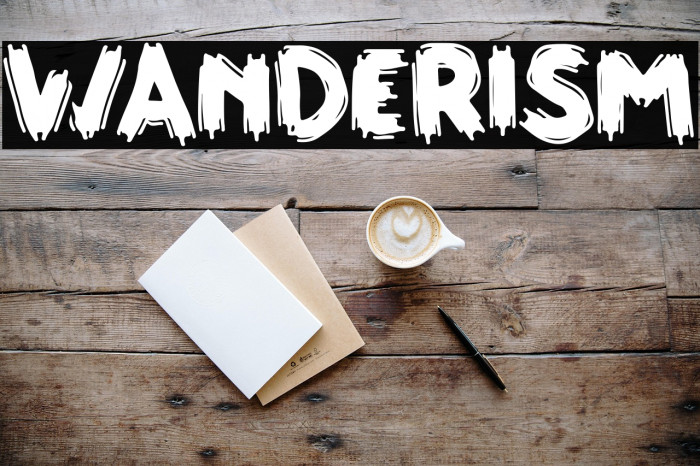 WANDERISM Example 1