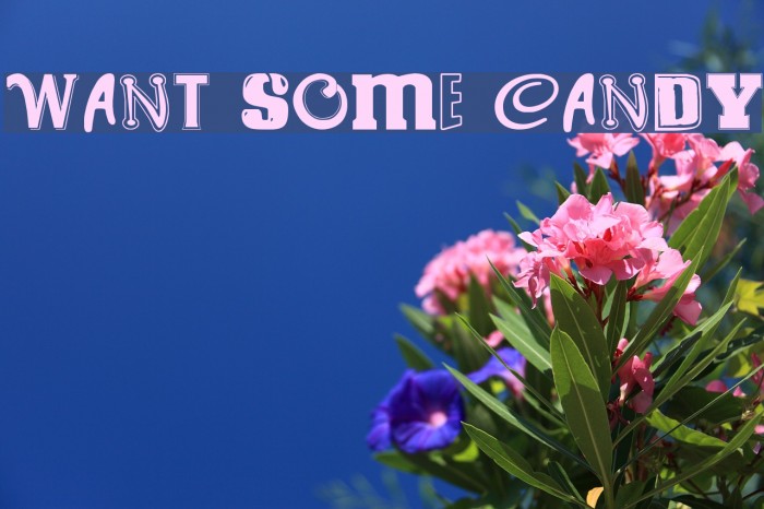 WANT SOME CANDY Fonte examples