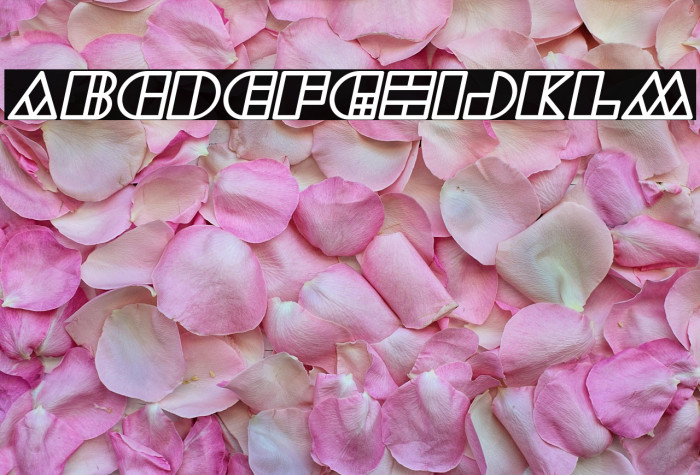 WAREHOUSE PROJECT Bold Italic Example 1