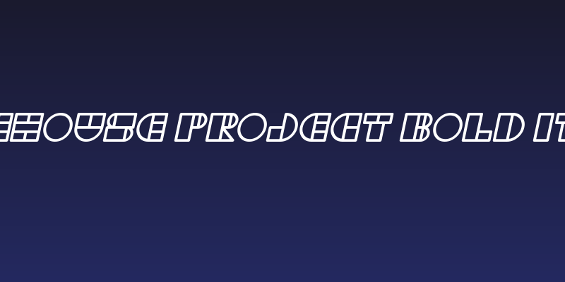 WAREHOUSE PROJECT Bold Italic Social Header