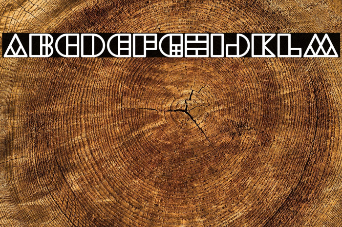 WAREHOUSE PROJECT Bold Example 1