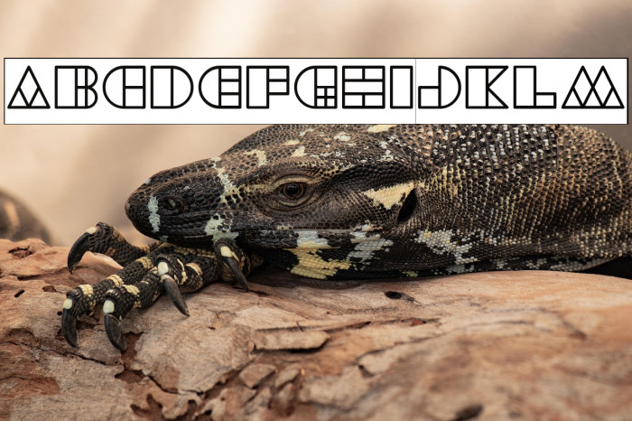 WAREHOUSE PROJECT-Inverse Example 1