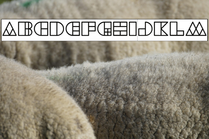 WAREHOUSE PROJECT-Inverse Example 2